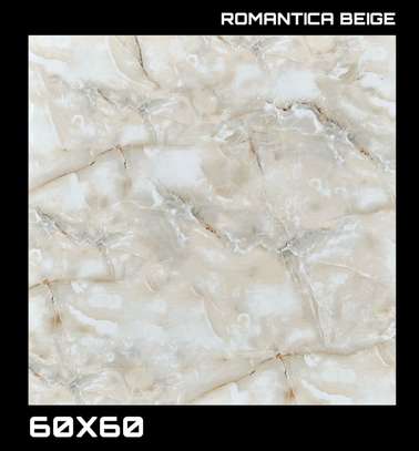 CARREAUX GRÈS POLY 60X60 image 14