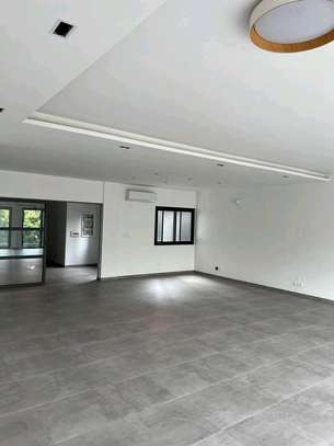 Superbe penthouse au POINT E image 9