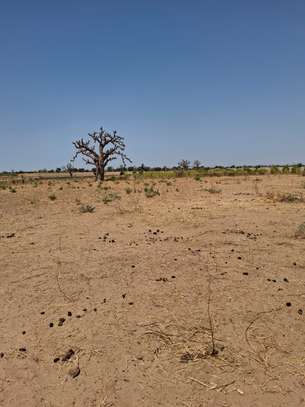 Terrain de 1 hectare à sandiara (mbour) image 1