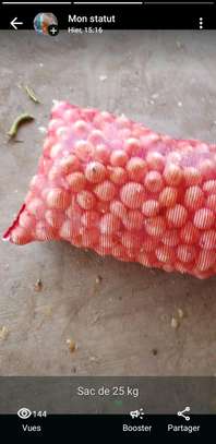 Oignons blancs frais sac filet gros volume image 1