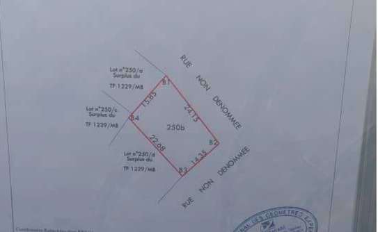 Terrain d'angle de 350m2 à Mbour image 1