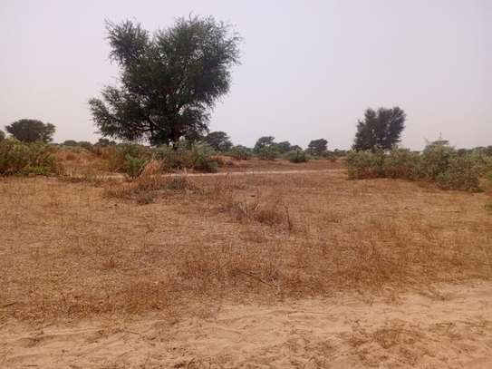 Terrain Agricole de 2,07 Hectares vers Tassette – Thiès image 3