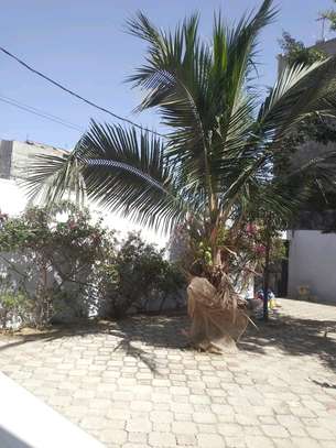 Immeuble R+2 avec jardin à louer (whatsapp uniquement) image 3