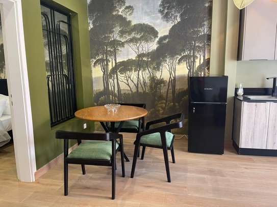 Magnifique et cosy F2 meublé image 7