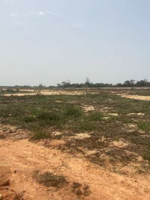 1 hectare à yene image 2