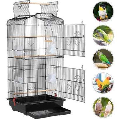 Cage oiseaux image 1