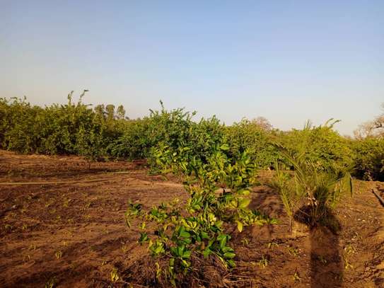𝐕𝐞𝐫𝐠𝐞𝐫 𝐝𝐞 1 𝐡𝐞𝐜𝐭𝐚𝐫𝐞𝐬 6000m2 𝐞𝐧 𝐩𝐥𝐞𝐢𝐧𝐞 𝐩𝐫𝐨𝐝𝐮𝐜𝐭𝐢𝐨𝐧 image 13