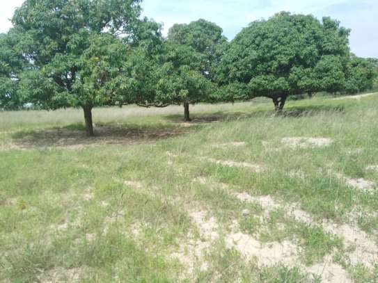 5 hectares à vendre entre Saou et Diambalo image 9