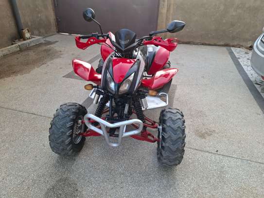 Quad Shanera 300 image 2