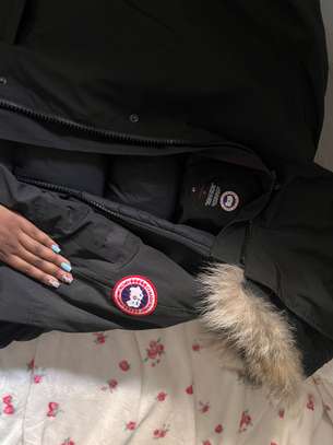 Canada goose image 4