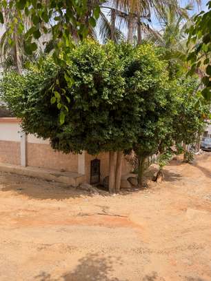 Maison 320m2 angle a vendre au virage image 14
