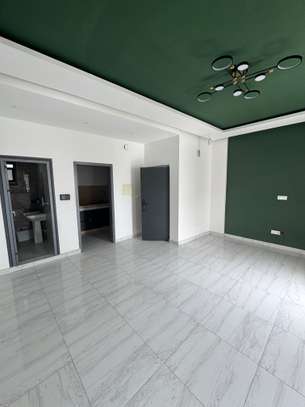 MINI STUDIO FASS VERS ISM image 9