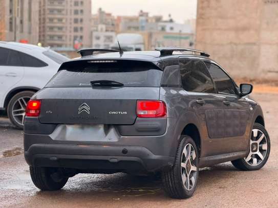 Citroën C4 *Cactus* ANNÉE : 2017 image 5