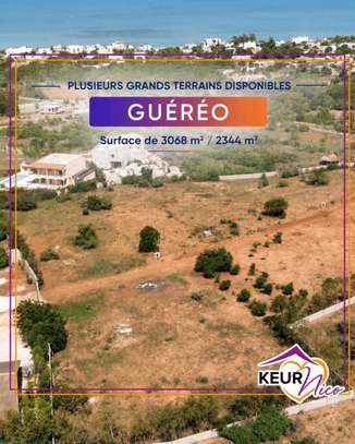Magnifique terrains à vendre à Guéréo image 2