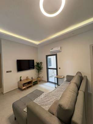 Appartement F2 meublé situé à louer image 13