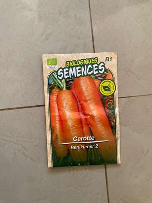 LIVRAISON FRUIT LEGUME ENGRAIS SEMENCE CAMION FRIGO 20M3 image 10
