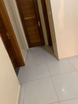 Appartement aux mamelles image 3
