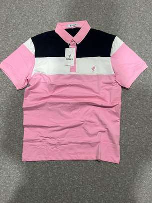 Polo eden Park image 12