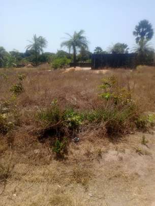 A VENDE TERRAIN CAP SKIRRING  800m2 image 2