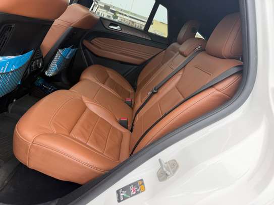 GLE image 15