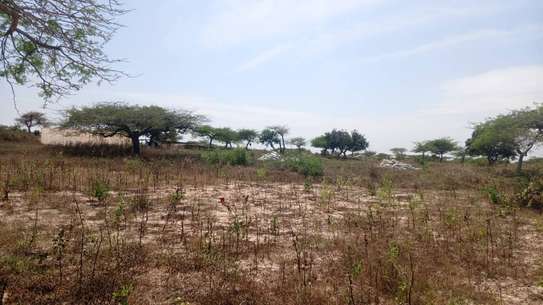 Terrain agricole accessible a vendre image 5