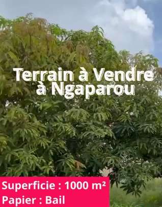 Terrain à vendre à Ngaparou image 1