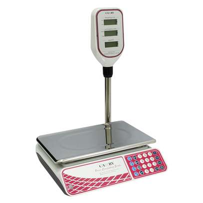 Balance numérique Camry 40KGMax image 2