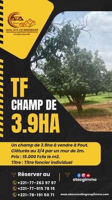 Champs de 3,9 ha à vendre à Pout Tf individuel image 2
