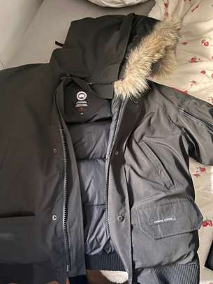 Canada goose image 2