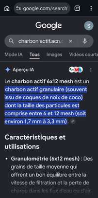 Charbon actif granulé mesh 6x12 a base de noix de coco image 7