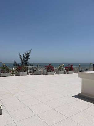Plateau appartement vide 3 chambres grand terrasse vue mer image 13