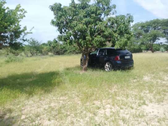 5 hectares à vendre entre Saou et Diambalo image 3