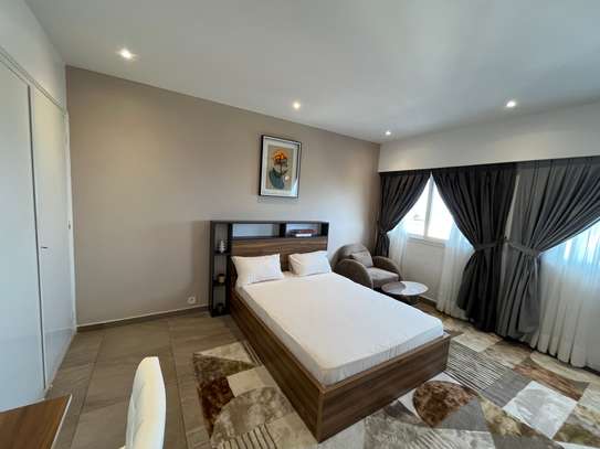 Studio meublé à louer au plateau image 3