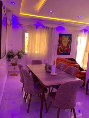 Spacieux et Luxueux studio F2 Meublé image 11