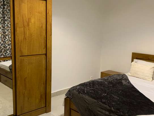 APPARTEMENT MEUBLÉ À LOUER MERMOZ image 8