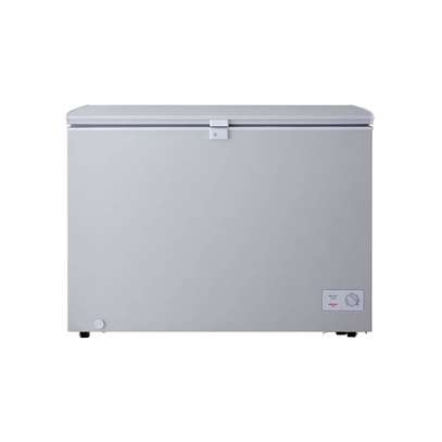 CONGÉLATEUR 280LITRES LG HORIZONTAL GRIS GCS315SQFG image 1