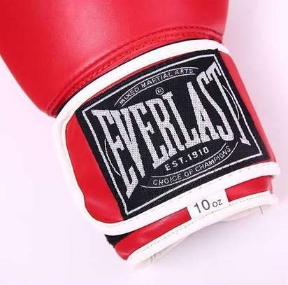 Everlast Gants de boxe Professionnel image 8