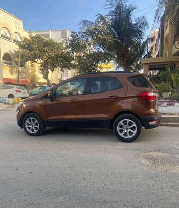 Ford 2019 Walter image 4