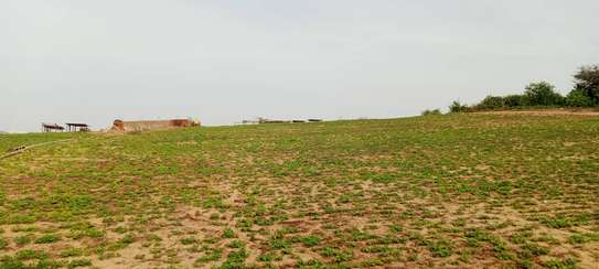 Terrain agricole à Mboro image 4