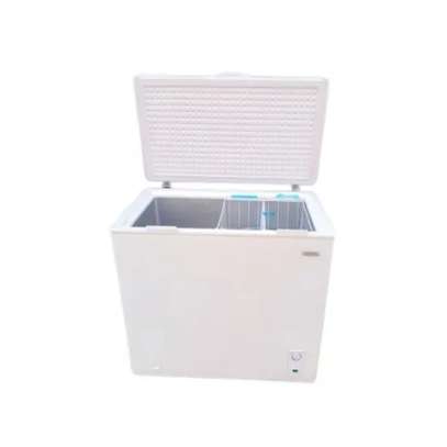 CONGELATEUR ASCOLI HORIZONTAL WHITE 300 LITRES AWS-225C image 1