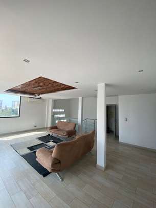 Appartement duplex à Mermoz image 10
