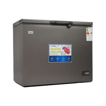 Congélateur Horizontal DESKA 300L image 3