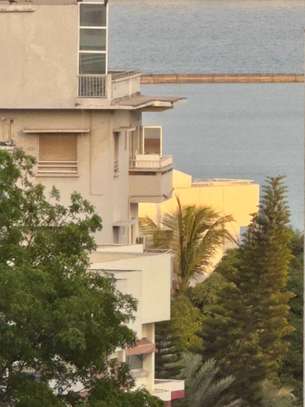 Très bel appartement Spacieux et lumineux image 12