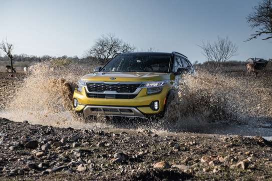 Kia Seltos 2024 image 5