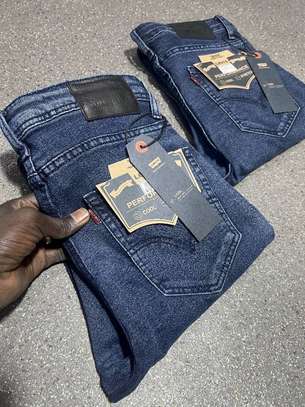 Jean levis image 6