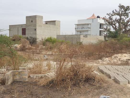 Terrain 300m2 A V Keur Ndiaye Lo image 1