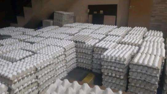 Ventes en gros tablettes d'œufs frais. image 2