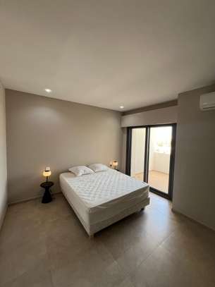 Penthouse de 460 m² F5 à louer à Mermoz image 5