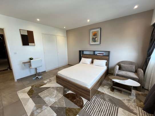 Studio meublé à louer au plateau image 1