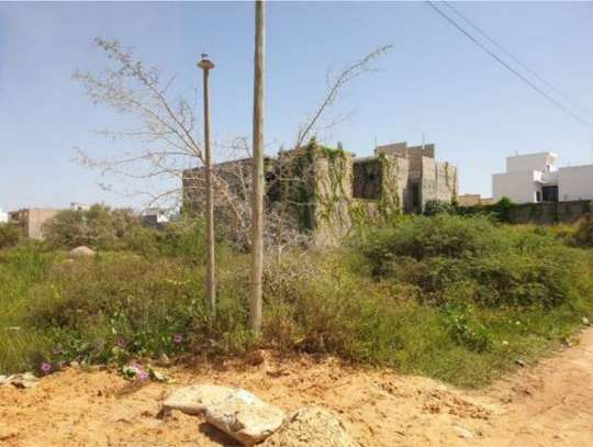 Terrain nu à vendre – 300 m2 Kounoune Cité Hawo Dia image 3